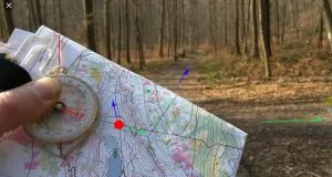 Kompass kart skog